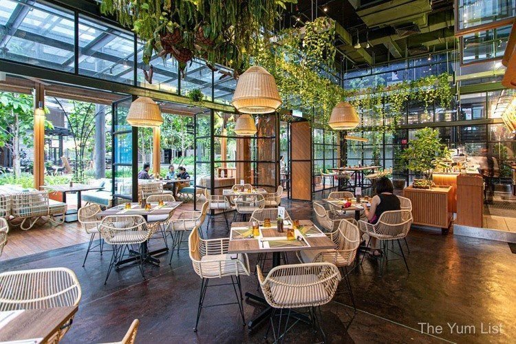 A bright garden cafe with indoor greenery and relaxed seating